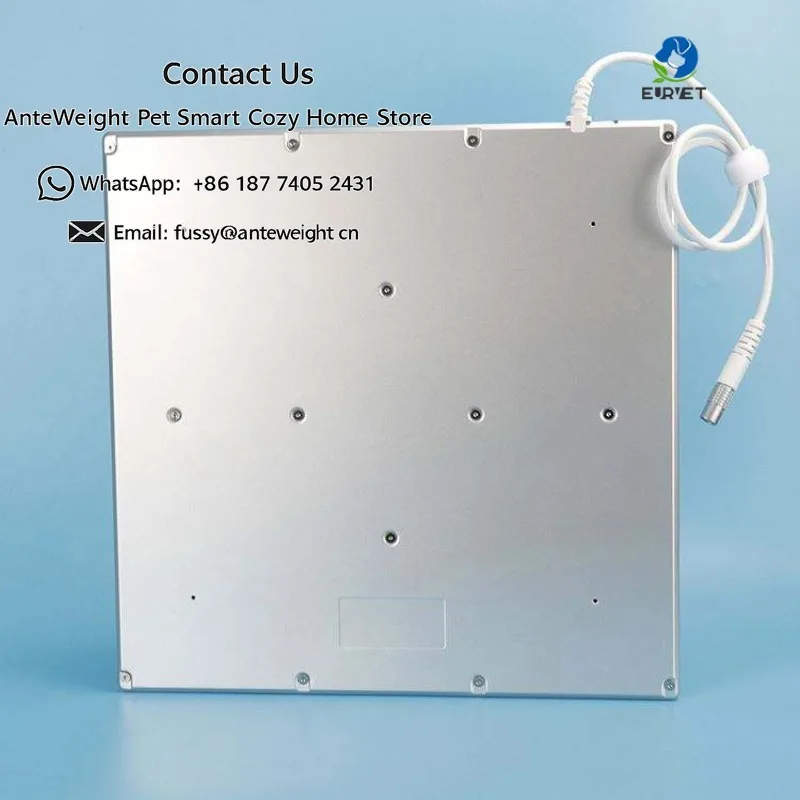 Flat Panel Detector for X-ray Veterinary Equipment Digital X Ray Flat Panel Detector for Commercial Equipment and Animal Care