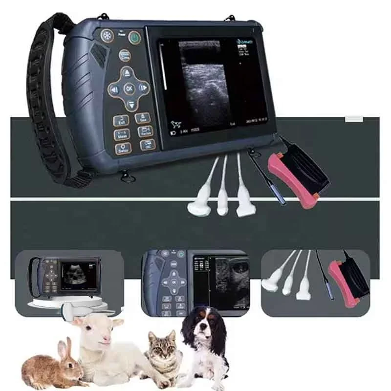 

Dawei Portable Ultrasound Scanner Veterinary Pregnancy Ultrasound for Animals