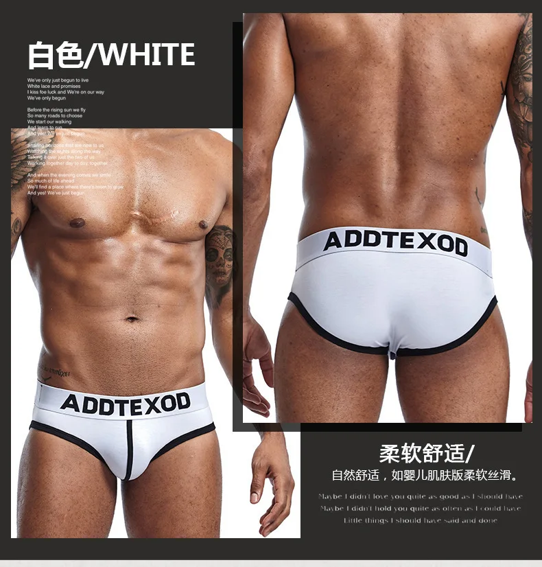 Men's U Convex Pouch Underwear for Young Low Waist Cotton Brief Pants Teenager Sexy Bottom Lingerie Youth Comfortable Underpants