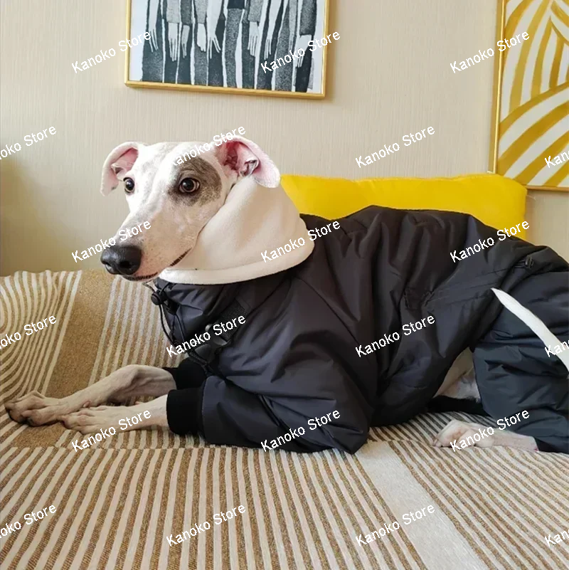 Small and Medium Dog Clothes Super Thick Cotton-padded Pet Coat Whitbit Greyhound Clothes Dogs Accessories Ropa Para Perro
