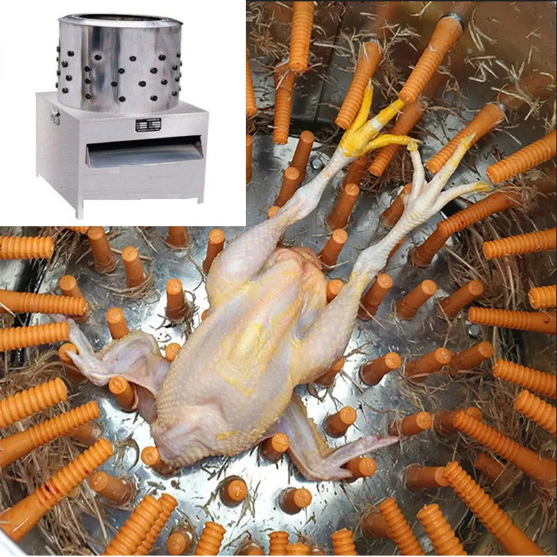 

Poultry Slaughtering Equipment Chicken Plucking Plucker Machine for Slaughterhouse Abattoir Machinery