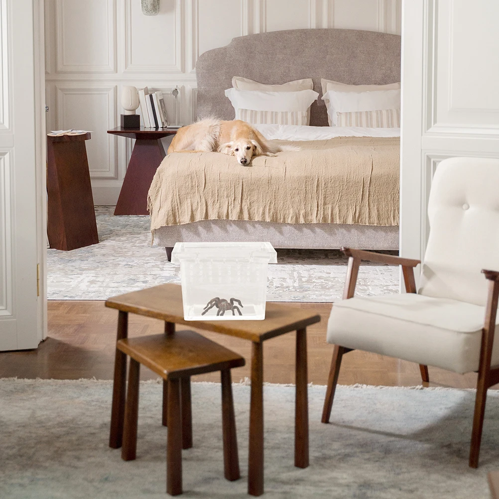 

10Pcs Reptile Feeding Box Terrarium Transparent Plastic Container for Pet Spiders Geckos Frogs Lizards Turtles