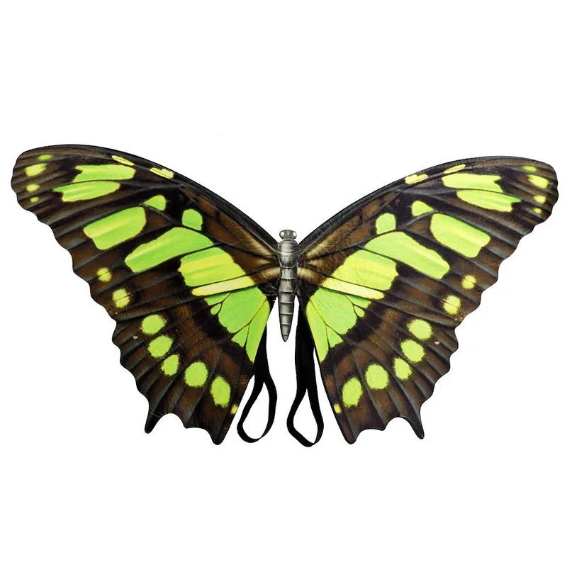 女性用羽根 ハロウィン 大人用コスチューム コスプレ 女性用ケープ バタフライ パーティーアクセサリー 小道具v;6,a'3.k;8,