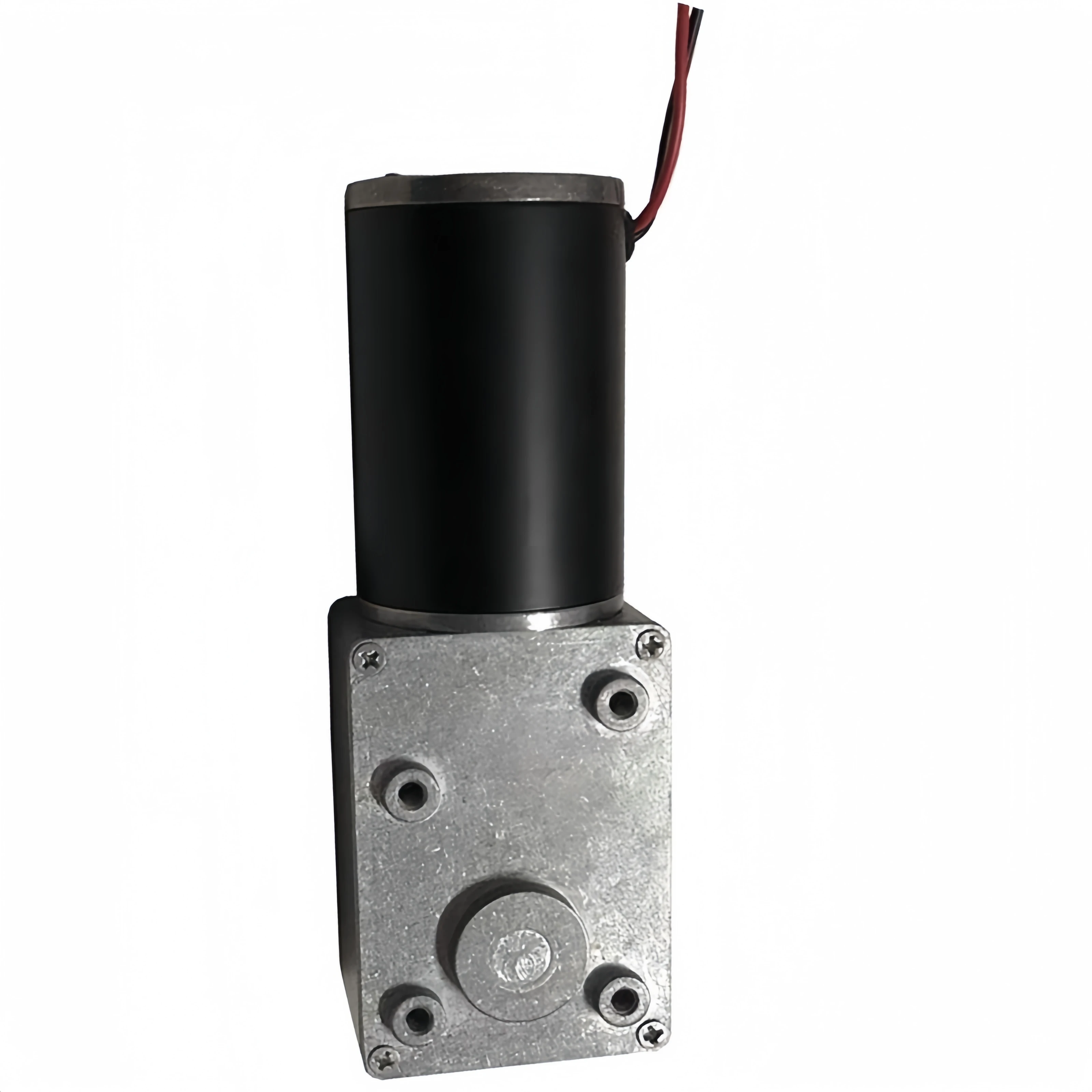 Worm gear reduction motor Speed regulation motor High torque self-locking motor WS-5882GW-50ZY-DC24V-10rmp