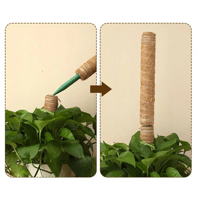 جوز الهند النخيل عصا جوز الهند الطوطم نبات تسلق القطب Monstera حصة هيكل قوي إكسسوارات الحديقة تعريشة داخلية ل Pothos