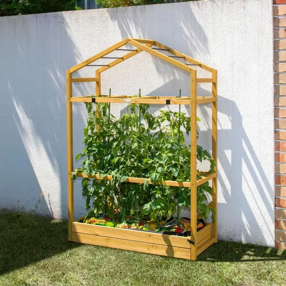 Tomato Cultivation Greenhouse with PE Film Cover - Eco-Friendly