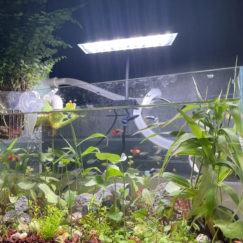 Planted Aquarium Cycling - Aquarium Fish Tank Full Spectrum LED