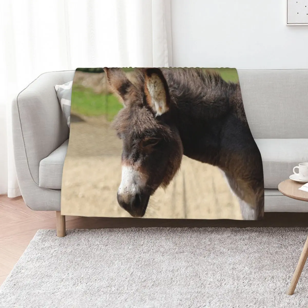 Little donkey Throw Blanket Hair Warm warm winter Bed Picnic Blankets For Bed Blankets