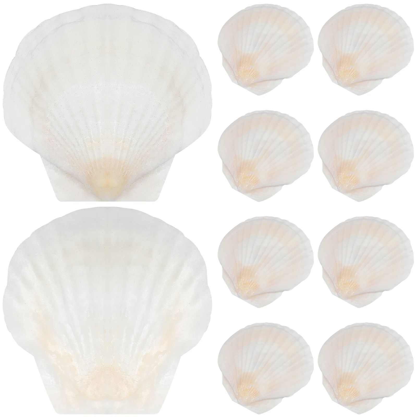 

Scallop Decoration Vintage Diy Home Crafts Beach Decorative Ornaments Fish Tank Landscaping Accessories Shell Embellishment
