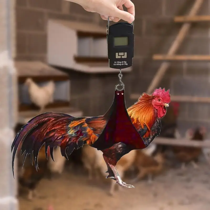 Chicken Holder Sling  Chicken Sling for Weighing and Lifting Small Animals Chicken Holder Sling With Weight Scale for small hen