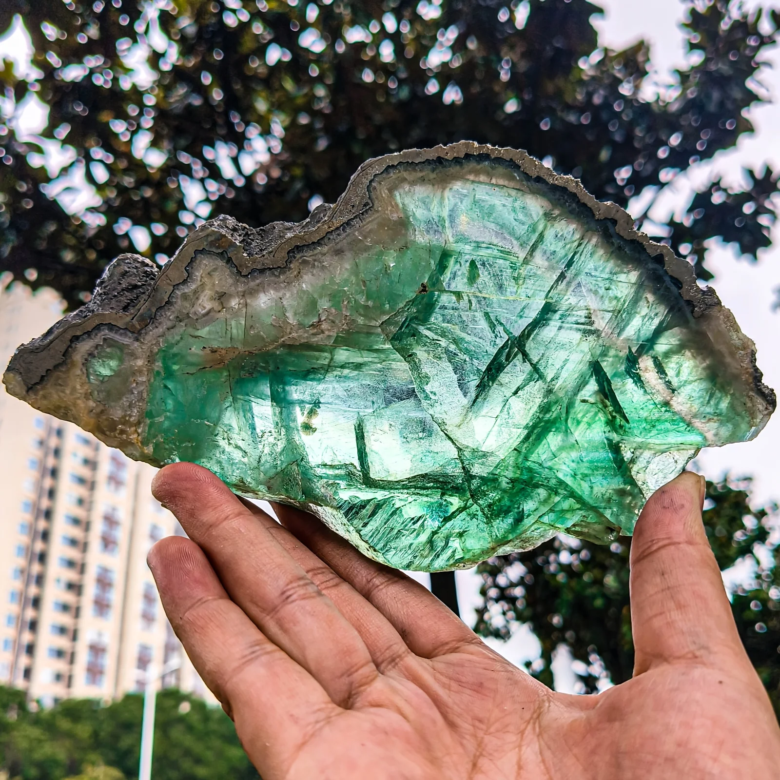 1PC Natural Green Fluorite & Pyrite Slice - Bohemian Crystal Board, Unique Formation for Home Decor, Jewelry Making,Holiday Gift