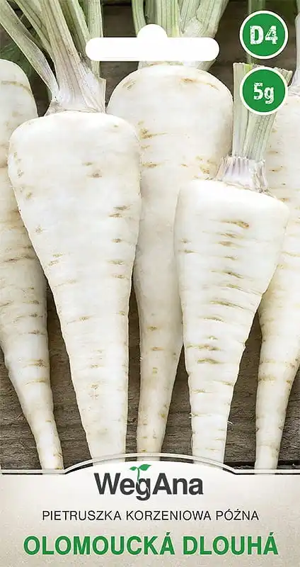 Olomoucka Dlouha Root Parsley 5G VegAna Vegetable Parsley Seeds