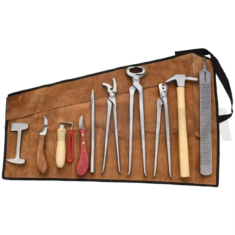 Professional Horseshoe Rack Kit Veterinary Instruments for Hoof Combing and Shoe Care