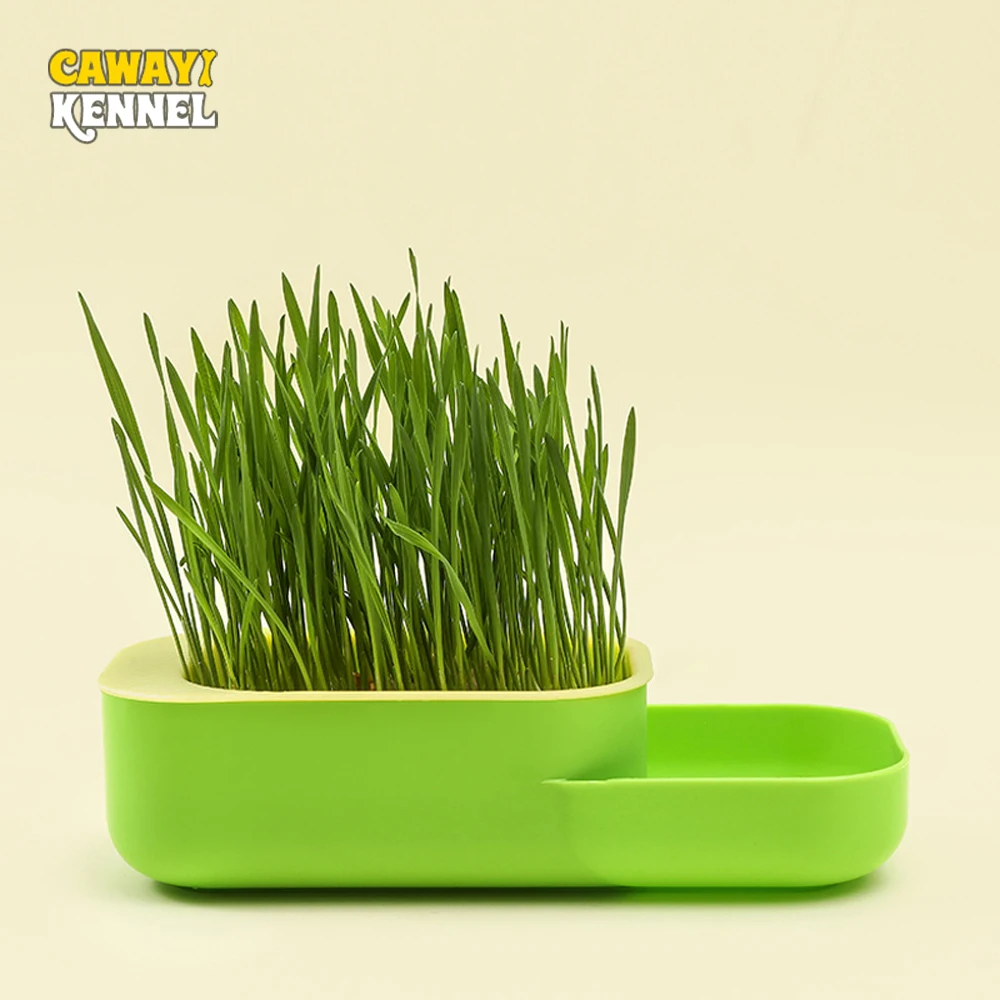 1pc Random Color 2 in 1 Pet Cat Sprout Dish Growing Pot Cat Feeder Hydroponic Plant Cat Grass Germination Dish Bowl Without Seed