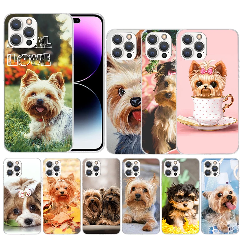 Funda suave con estampado de cachorro de perro Yorkshire Terrier para iPhone, 15, 14, 13, 12 Mini, 11 Pro Max, X, XS, XR, 7 Plus, 8 + SE, patrón Coq