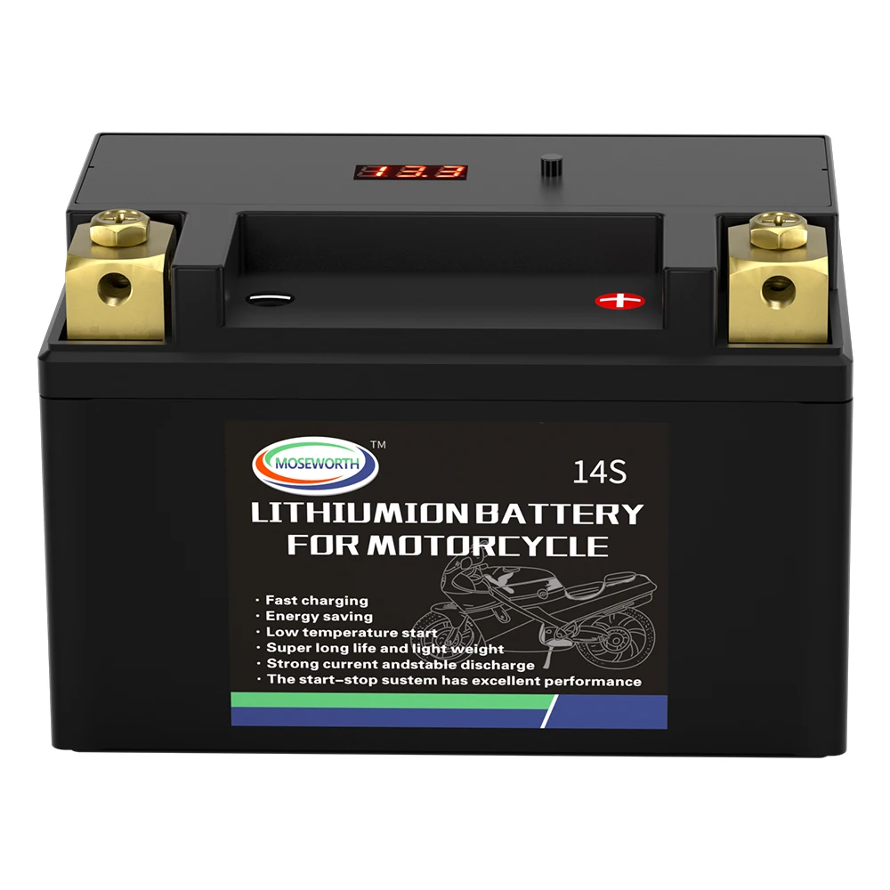 

14S Lifepo4 Battery 12V 8Ah Motorcycle Battery with BMS lithium Iron Phosphate Batteries for Electric Moto ATV UTV Motorhome