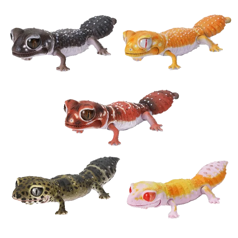 Bandaitwisted Egg Biological Map Wall Lizard Tailed Leopard Gecko Lizard Tumor Tailed Guard Lespetit Simulation Movable Figure