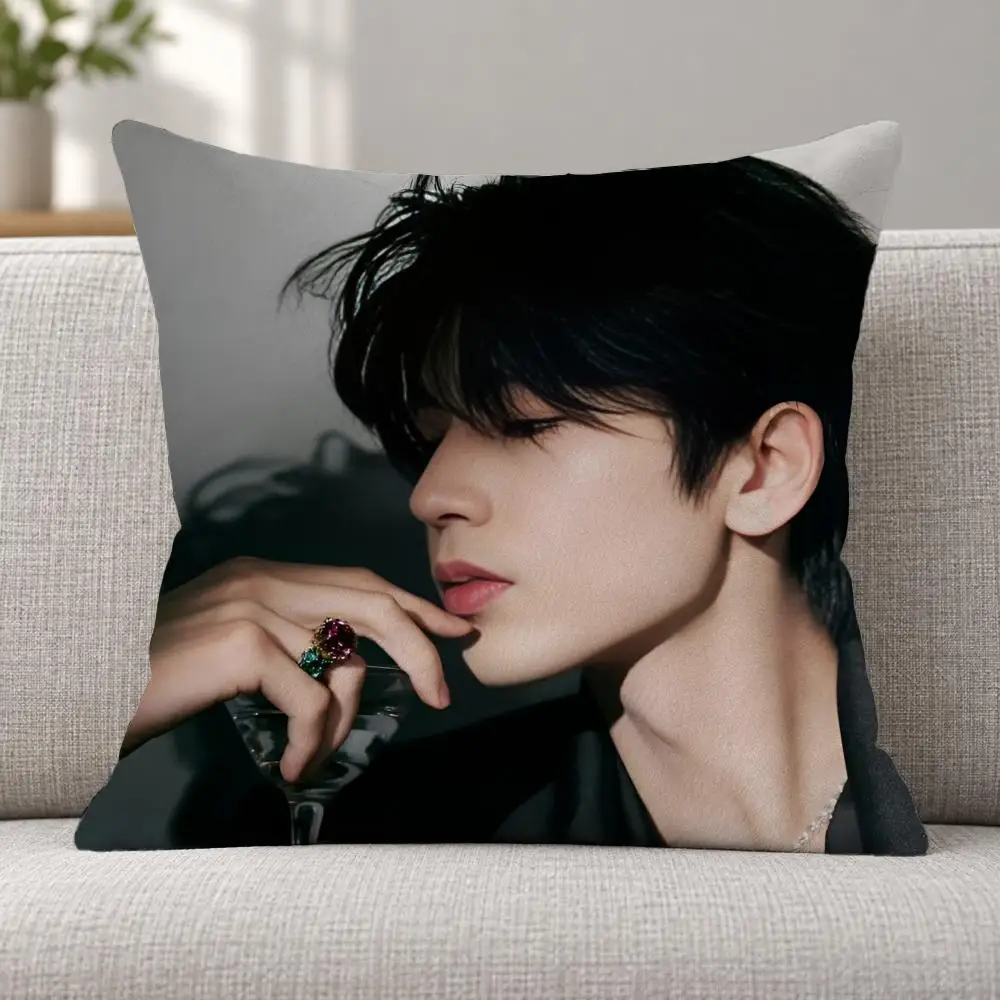 Celebrity Actor Z-Zhang Linghe Cushion Cover Soft Plush Decorative Sofa Bedroom Living Room Car Dorm Home Decor Gift