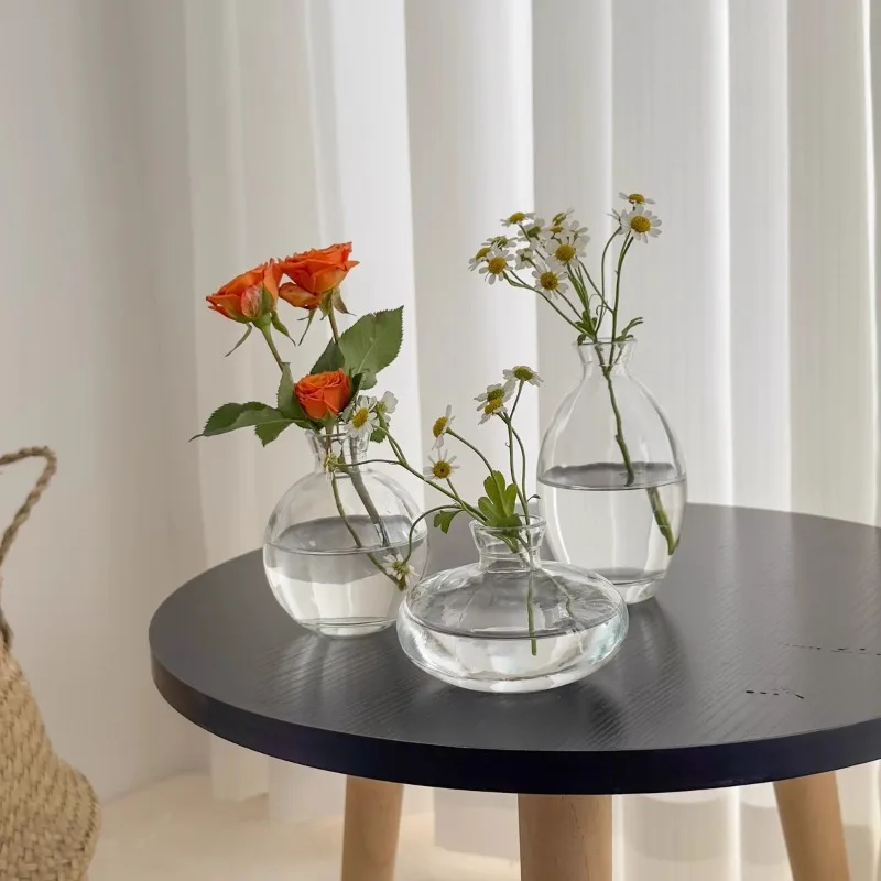Small vase set, handicrafts, desktop hydroponic flowers, living room