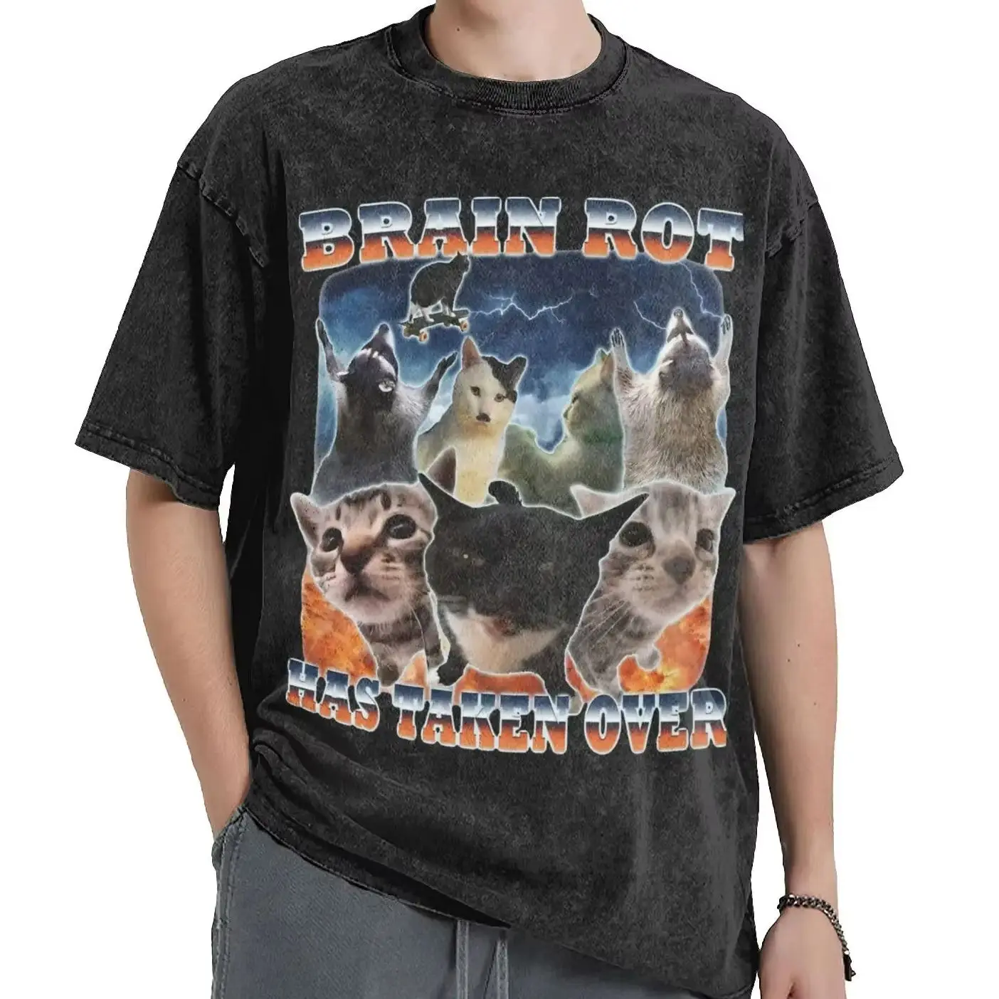 

Harajuku Washed T-shirts Brain Rot has Taken Over Funny Cat Meme Print Shirt Merch High Street Tee Shirt