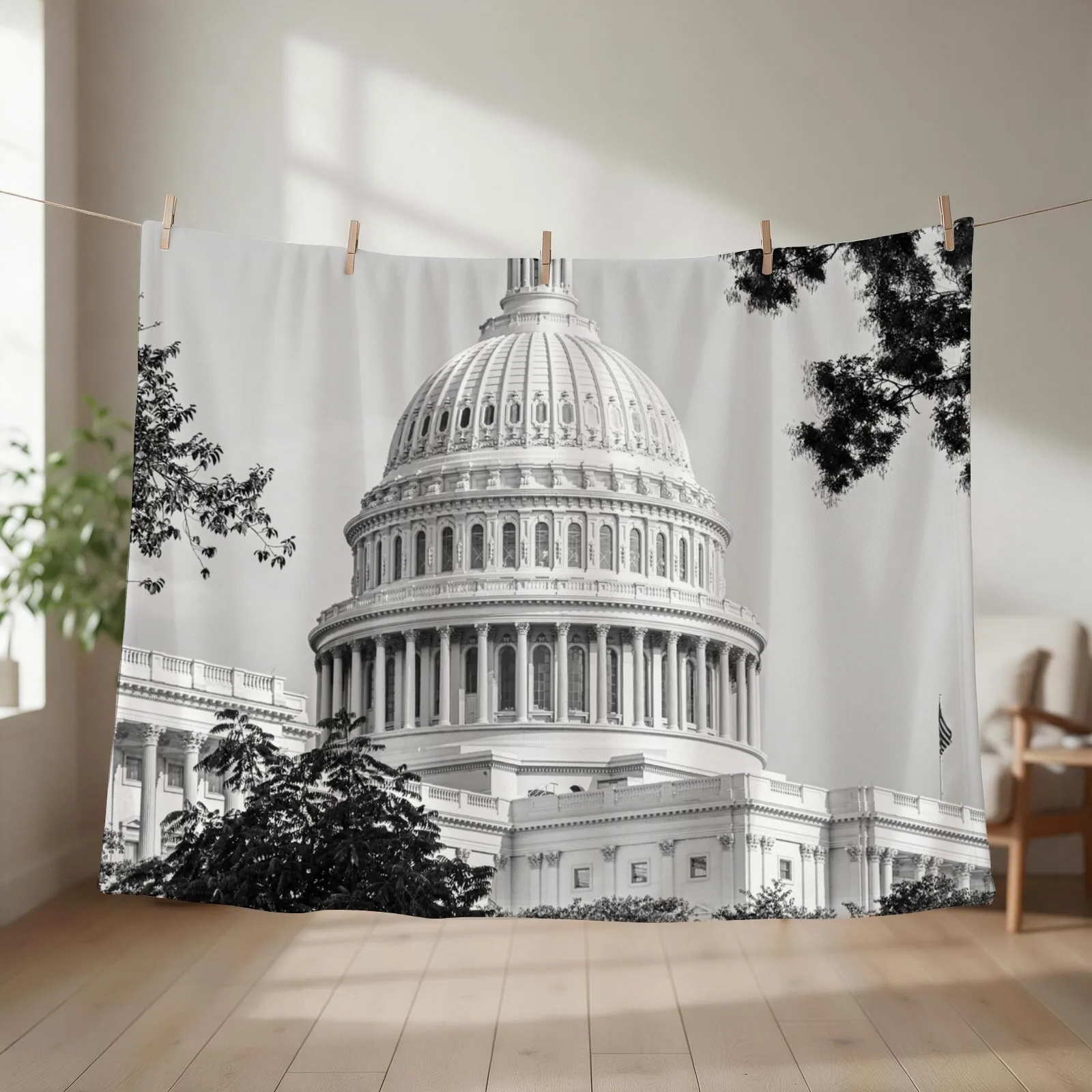 The Capitol Building Washington Throw Blanket couch cozy soft plush fuzzy picnic outdoor blanket