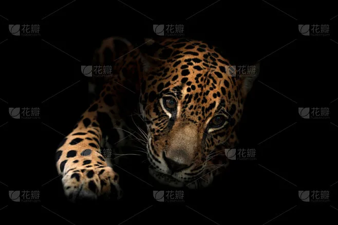 

7075 Aluminum Gearbox Case Housing for ARRMA 1/8 6S KRATON Typhon SENTON TALION 1/7 Infraction Limitless Mojave Upgrade Parts