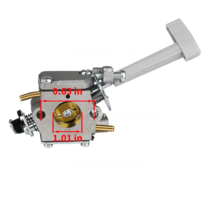 308054093 Is Suitab…