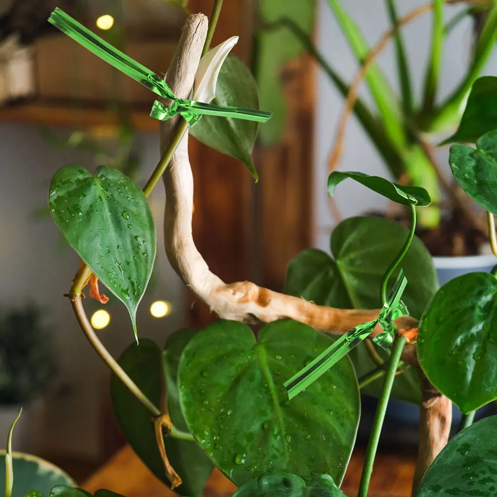 

1 set 1 Set Garden Plant Clips Heavy Duty Plastic Vine Support Stakes For Climbing Plants Flower Orchid Vegetable Trellis Clamps