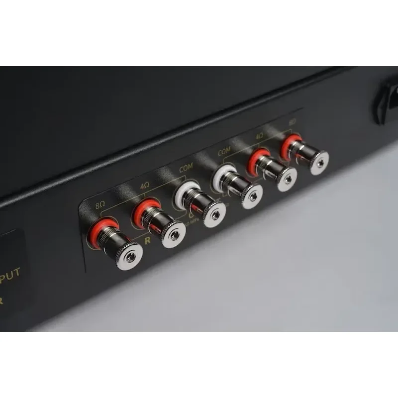 Raphaelite CS30 MKII 300B amplificateur à tubes HIFI CS30MKII amplificateur de lampe à une extrémité intégré avec télécommande CS30-MKII