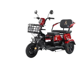 YJQ electric tricycle household small with shed to pick up and drop off children battery scooter