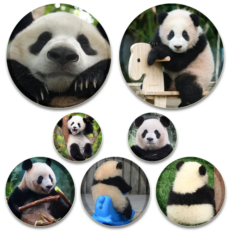 

32/44/58mm Cute Pandas Round Brooch Fu Bao/Xiang Xiang/nuan Nuan Badge Clothing Backpack Accessories Pin Gift Fans Collection