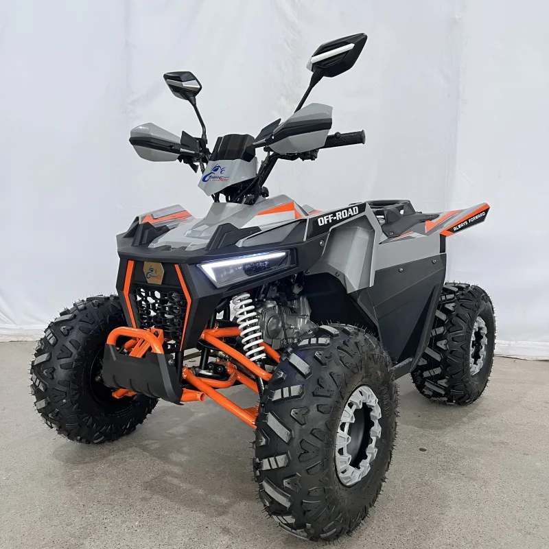 

Professional Factory's New 125cc All-Terrain Vehicle 4 Stroke Engine CE Certified New Upgrade with Customizable Options
