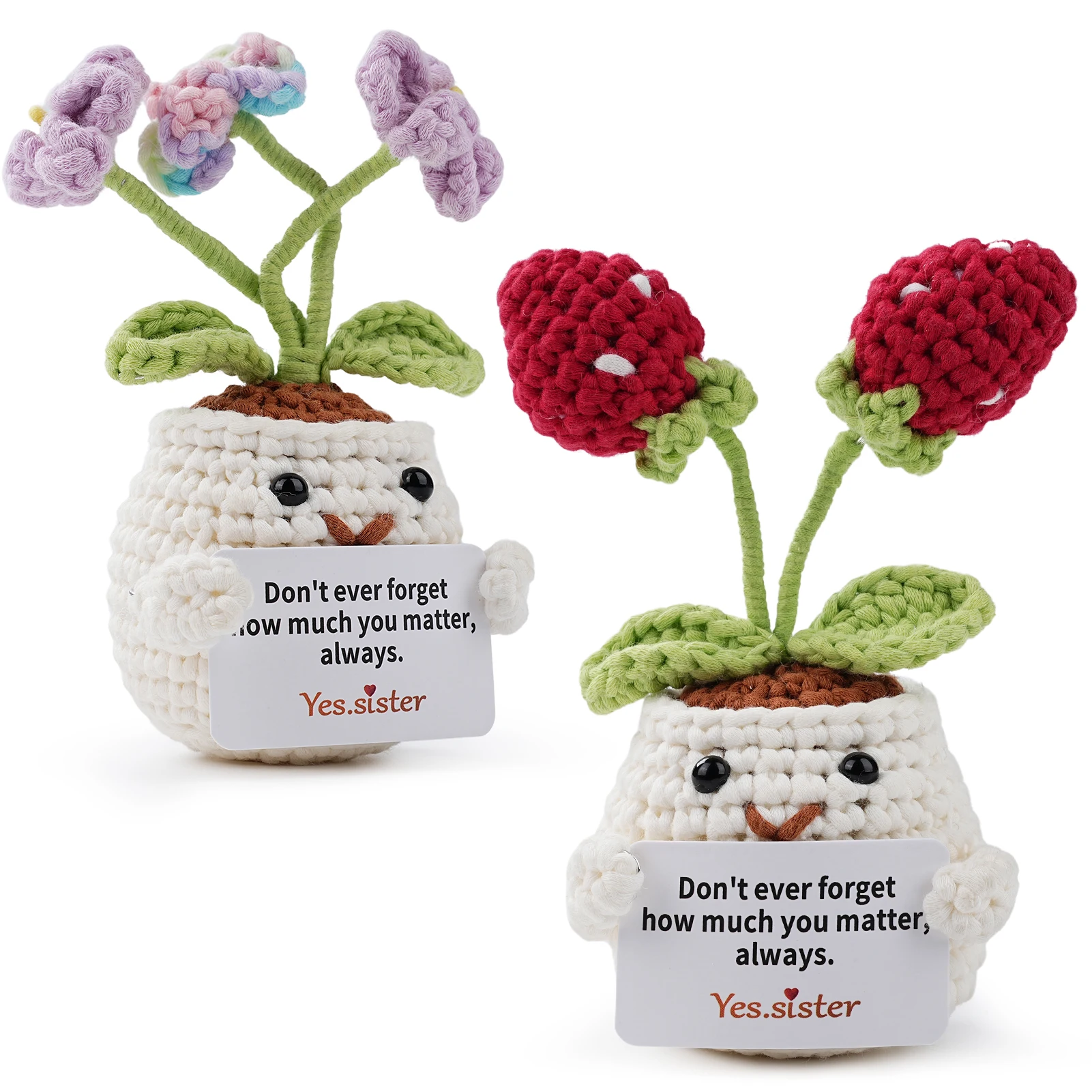 

Beginner Crochet Kit Complete Amigurumi Starter Set with Step-by-Step Video Tutorials for Adult Perfect for beginners