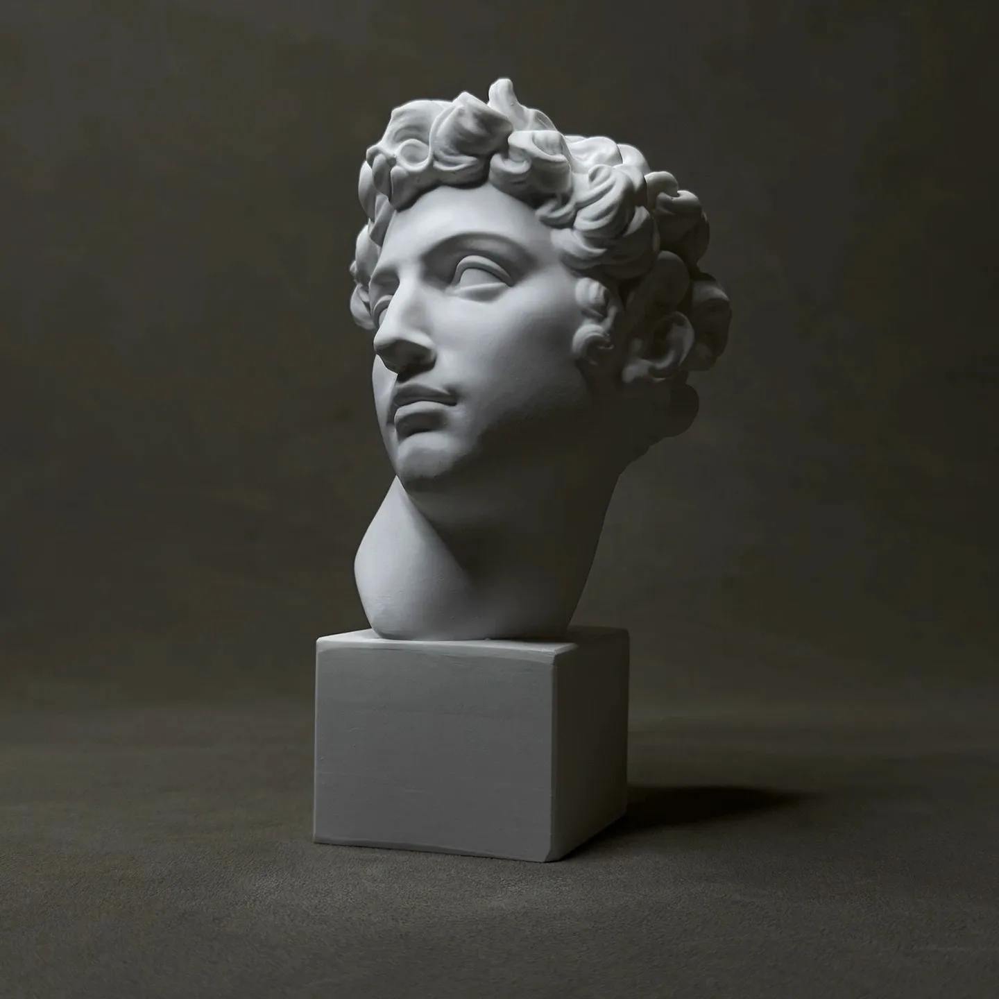 Giuliano de Medici Plaster Bust Classical Sculpture Sketch Drawing Model Desktop Art Decor European Figure Statue