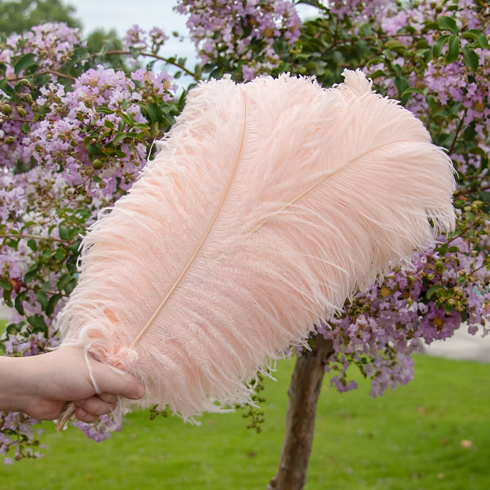 10Pcs Champagne Ostrich Feather 15-55cm for Wedding Party Home Decor Natural Ostrich Plumes Table Centerpiece Decoration Crafts