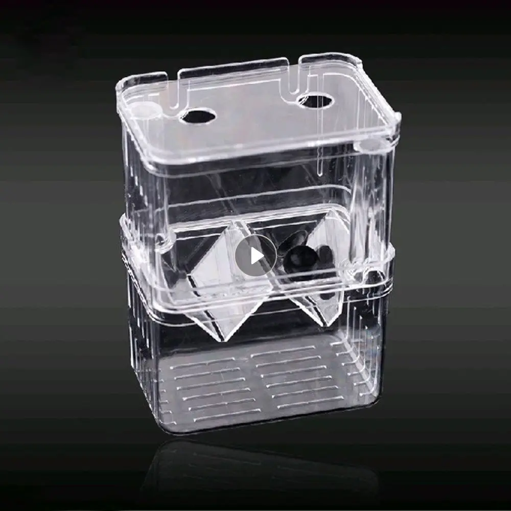 Breeding Hatching Box High Transparency Isolation Durable Fish Farming Aquarium/fish Tank Multi-function Breeder Multi-function