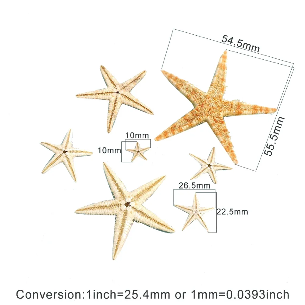 1 Box Starfish Seashell Practical Mixed Starfish Seashell Portable Natural Mixed Reusable Realistic White Star Fish Tank Decor