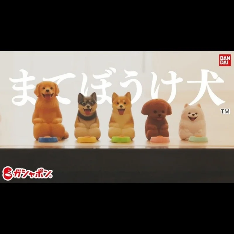 

Bandai милые собачки на коленях до колена сидя Тедди золотистый ретривер Шиба-ину пудель померанский шпиц модные украшения гашапон игрушка