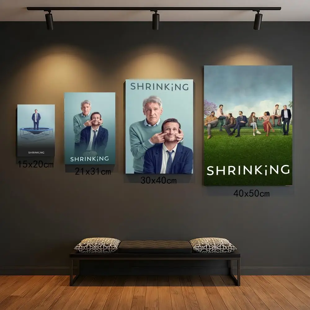 tv series S-Shrinking-G Painting Calligraphy Boho Botanical Decor for Living Room  Elegant Home Style