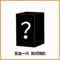 Random 1pc