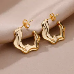 Irregular C Shaped Earrings for Women Gold Color Stainless Steel Earrings 2023 Trend New in Wedding Couple Jewelry Free Shipping