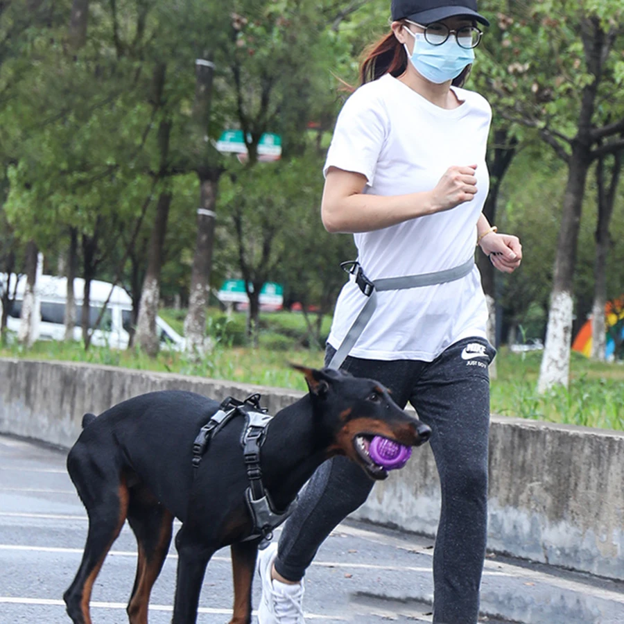 Tali anjing dapat ditarik bebas genggam untuk berlari pegangan ganda tali elastis reflektif tali anjing besar persediaan hewan peliharaan