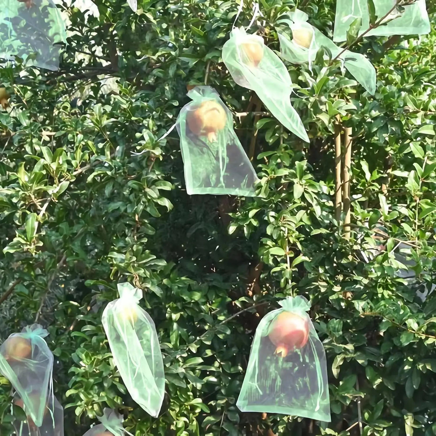 Bolsas de protección para frutas de piezas, cubierta de Red Verde con cordón, protectores de fruta de malla, barrera contra plagas para mangos,