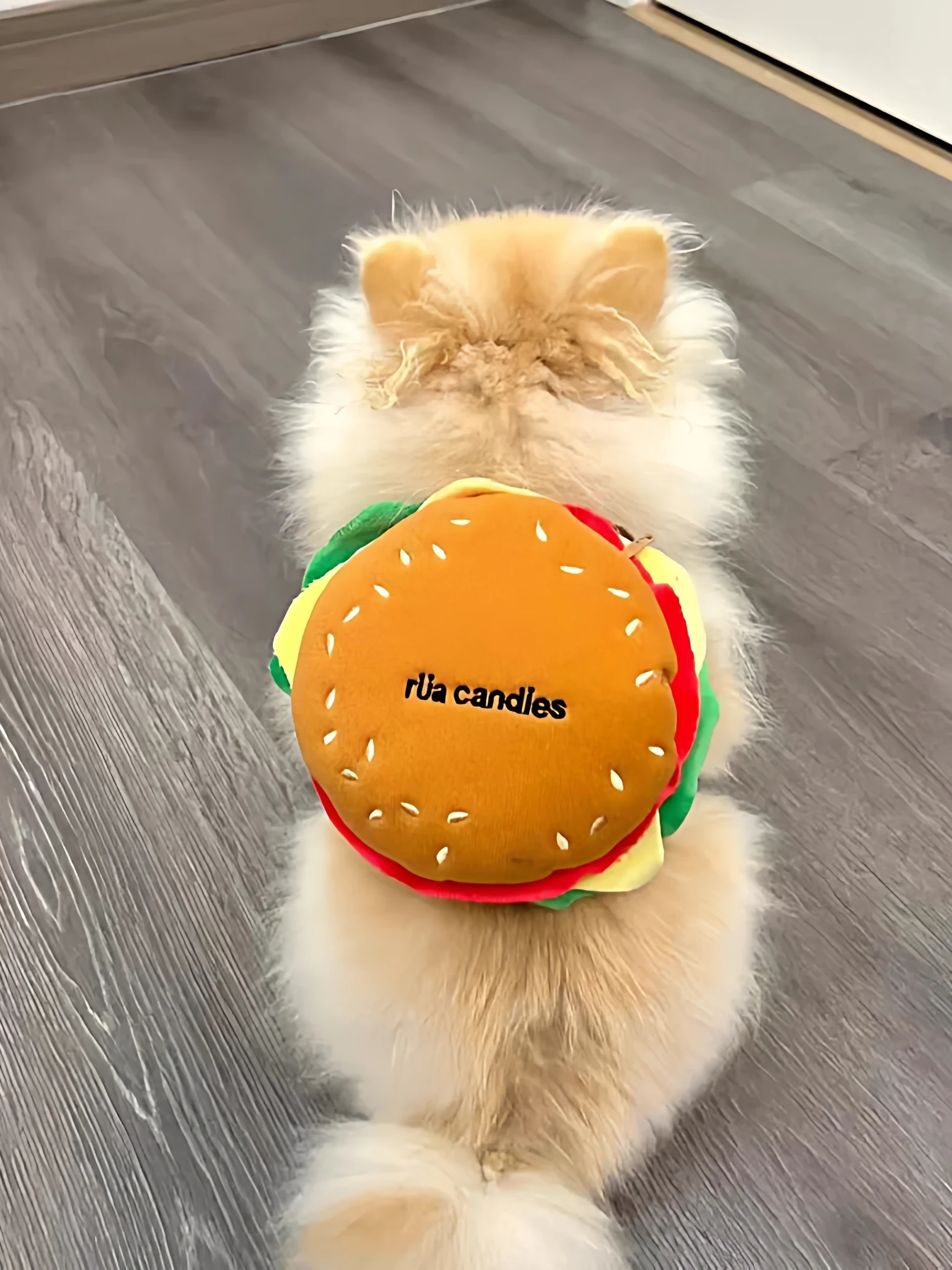 

Cute Burger French Fries Pet Backpack Leash Anti-Escape Dog Outing Supplies Sweet Cool Style Daily Use Universal Breed
