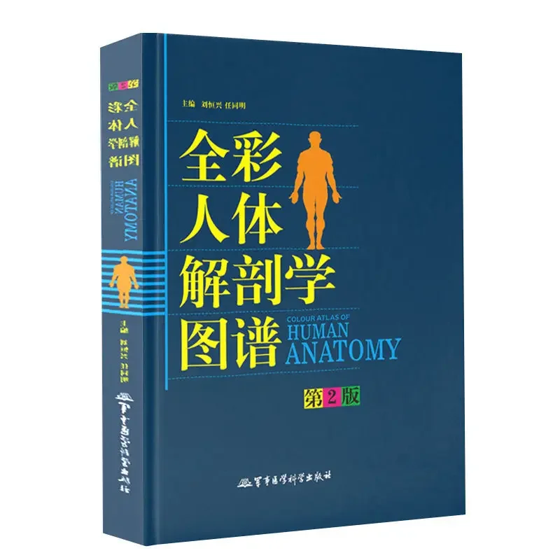 人体の解剖学と縫合糸ブック、本体構造ブック、フルカラー、中国語、英語、ロゴ図薬、1個