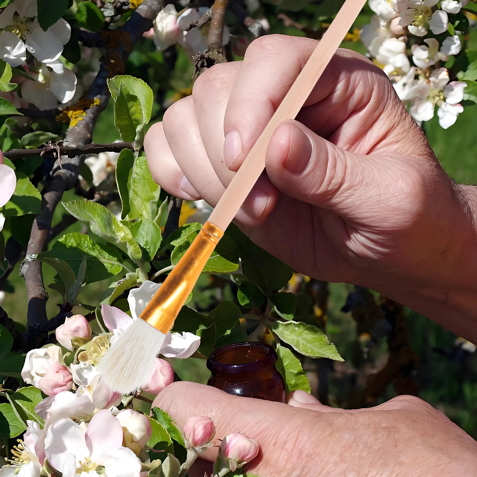 12 brosses de pollinisation manuelles pour plantes, brosses de pollinisation pour plantes succulentes, arbres fruitiers, fleurs, outils de jardinage, brosse de pollinisation