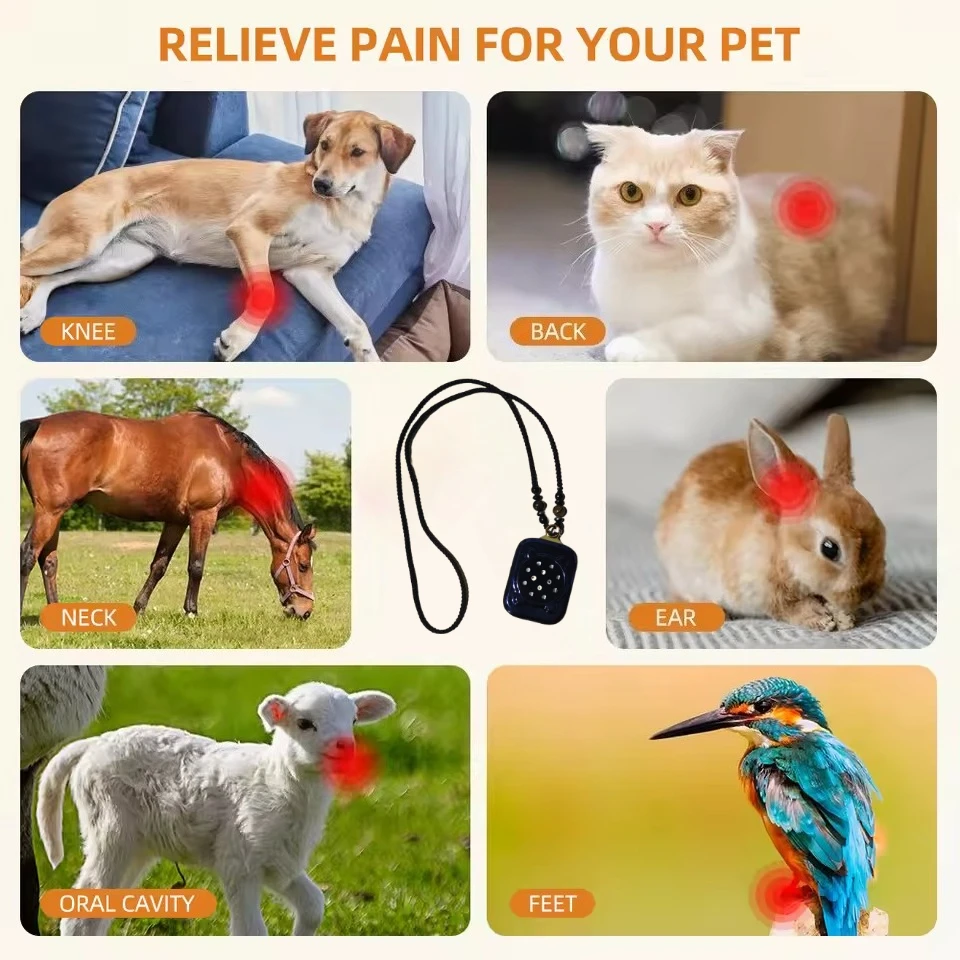 

Home Use Pet Laser Therapy Device Red Light 650nm for Dogs & Cats Pain Management & Wound Healing