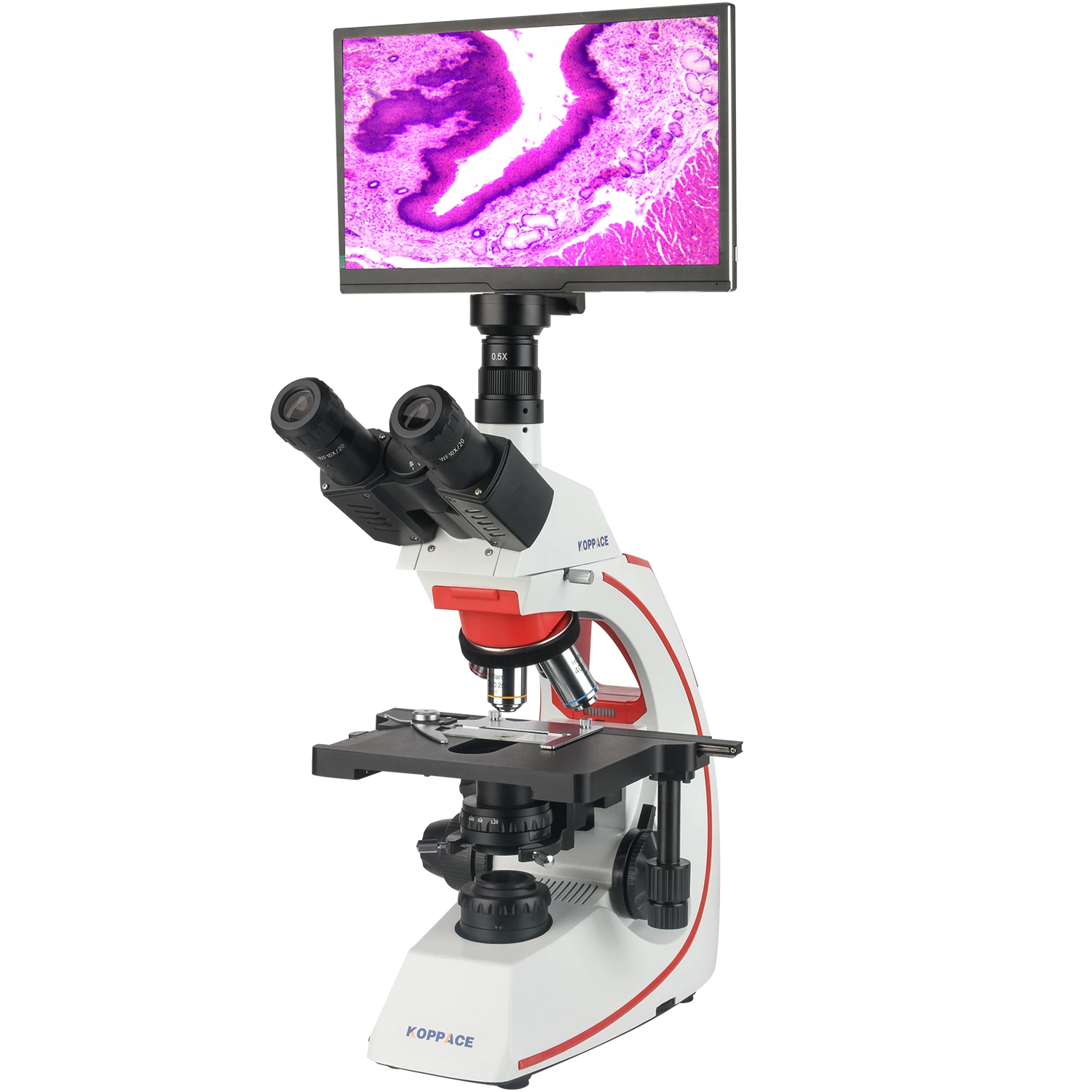 Microscope Compound 40X - Mikroskop Elektron Laboratorium KOPPACE 40X-1600X Compound