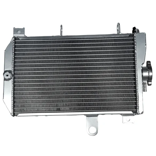 Aluminum Radiator for 2003-2017 Suzuki Burgman 650 AN650 AN650Z 2004 2005 2006 2007 2008 2010