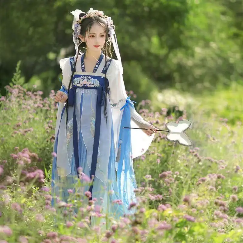 Set Hanfu in stile cinese Hanfu classico della dinastia Tang vestire abiti coordinati in stile Hanfu con ricamo retrò